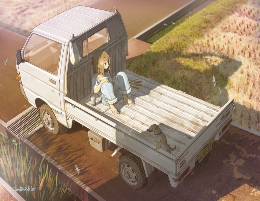 1girl autumn bag bangs blue_overalls brown_hair car commentary_request daihatsu daihatsu_hijet dog ground_vehicle jettoburikku long_hair motor_vehicle original overalls pickup_truck plastic_bag rice_paddy river road rural sandals shadow short_sleeves sitting solo truck water