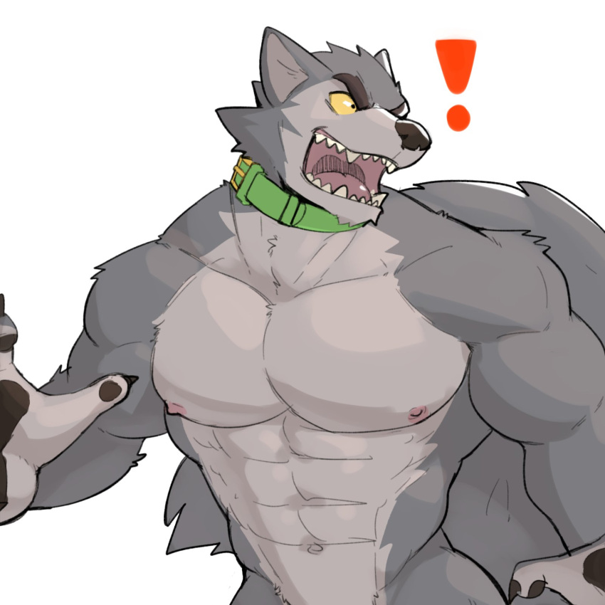 2022 abs angry anthro barazoku biceps big_muscles canid canine canis claws collar exclamation_point eyebrows fur hi_res huge_muscles jrjresq male mammal muscular muscular_anthro muscular_male navel nipples nude obliques open_mouth pawpads pecs simple_background solo standing surprise teeth tongue tuft white_background wolf