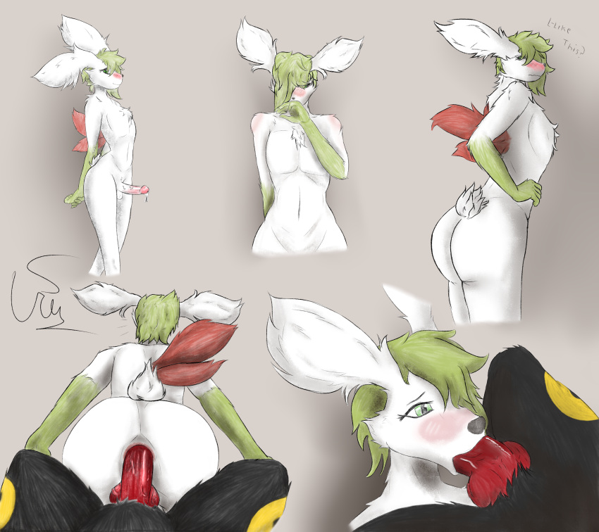 absurd_res anthro balls big_butt big_penis black_body black_fur blush bodily_fluids butt duo eeveelution fellatio fur generation_2_pokemon generation_4_pokemon genital_fluids genitals girly green_body green_eyes green_fur green_hair hair hand_on_leg hands_behind_back hi_res horn humanoid_genitalia humanoid_penis knot legendary_pokemon looking_at_viewer male male/male nintendo on_bottom on_top oral penile penis pokemon pokemon_(species) precum reverse_cowgirl_position rusoide sex shaymin smile smiling_at_viewer solo spread_legs spreading text thick_thighs umbreon video_games white_body white_fur wide_hips