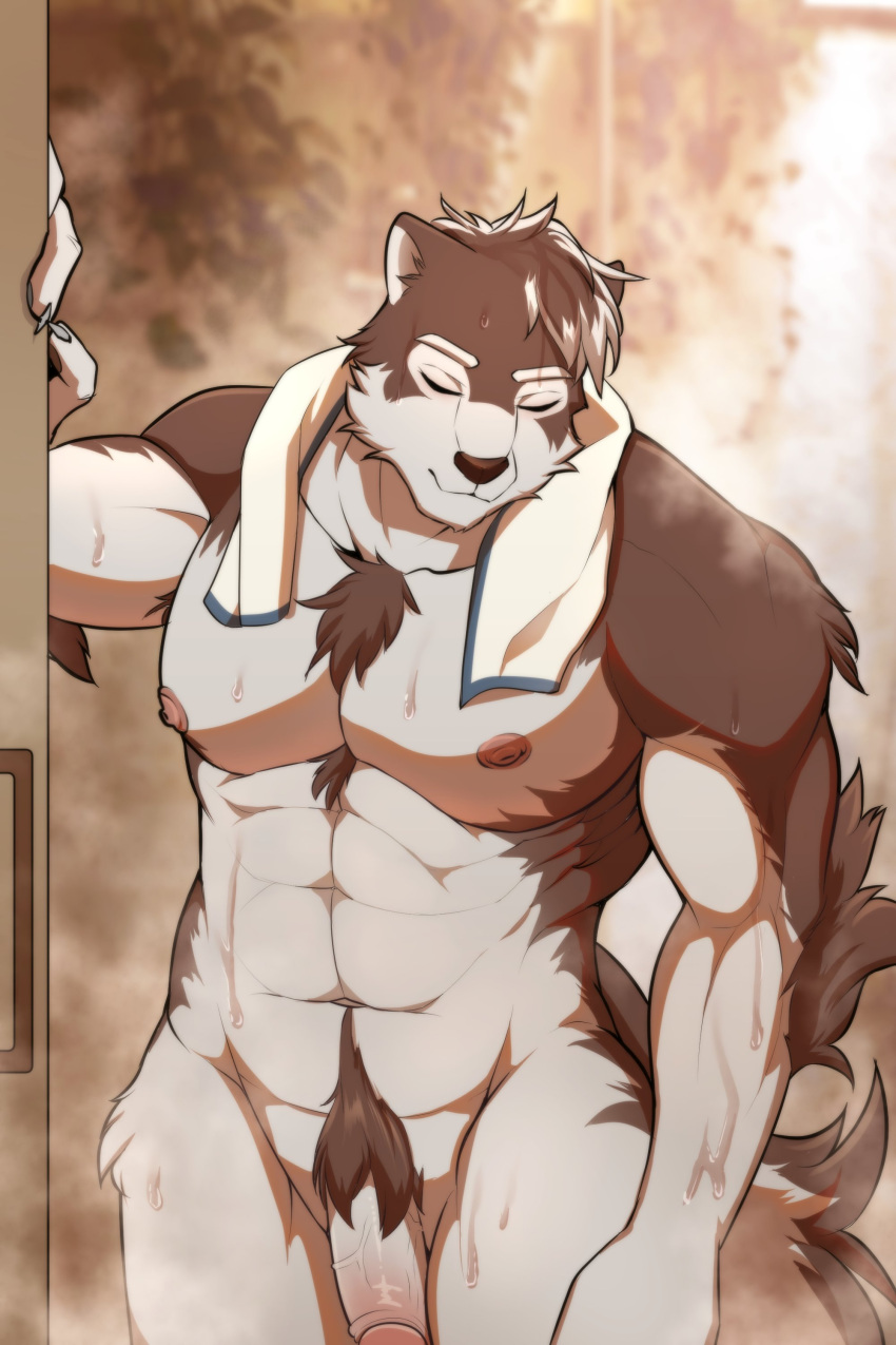 abs absurd_res anthro balls canid canine canis eyes_closed flaccid fur genitals grey_body grey_fur hi_res horkeu_kamui_(tas) kuroikiri lifewonders male mammal muscular muscular_anthro muscular_male nipples nude oybes pecs penis shower solo tokyo_afterschool_summoners video_games wolf