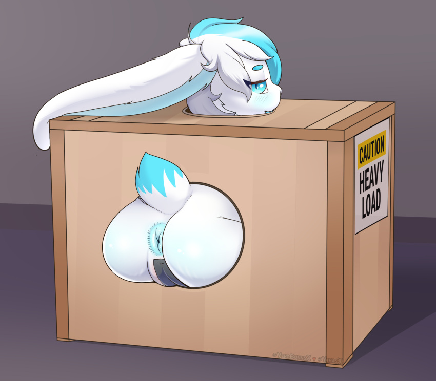 anthro anus box butt container female hi_res lagomorph leporid looking_at_viewer maddy_(lllmaddy) mammal pussy_tape rabbit solo verobunnsx