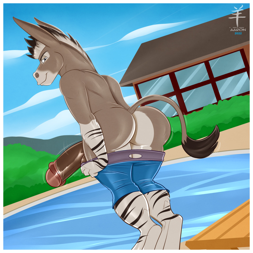 aaron_(artist) anthro asinus bedroom_eyes big_butt big_penis bottomwear butt clothed clothing cloud donkey equid equine fur genitals grey_body grey_fur hi_res humanoid_genitalia humanoid_penis hybrid looking_at_viewer male mammal narrowed_eyes outside partially_clothed penis poolside seductive shorts shorts_down solo stripes window zebra zebroid zonkey