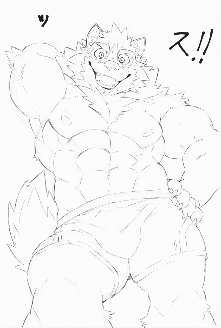 abs absurd_res anthro barrel_(live-a-hero) biceps bulge canid canine canis clothing heylaw21 hi_res lifewonders live-a-hero male mammal muscular muscular_anthro muscular_male nipples pecs sketch solo underwear video_games wolf
