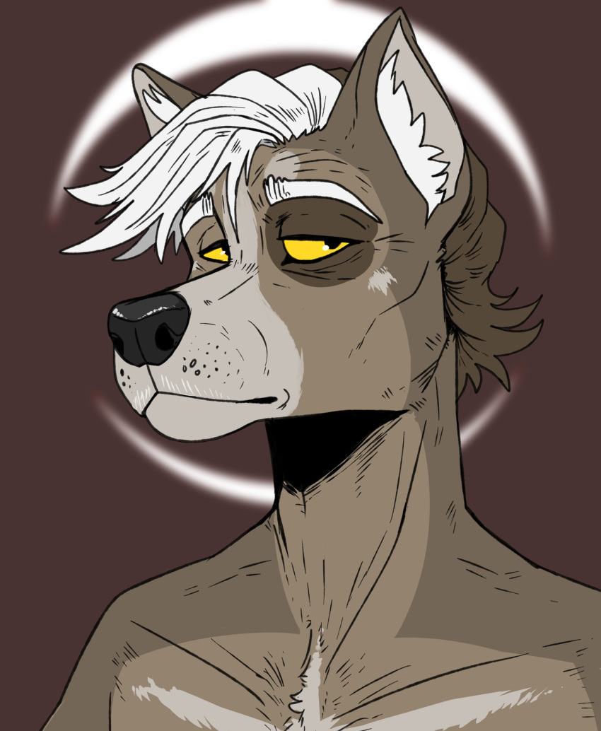 anthro black_nose brown_body brown_fur brown_hair bust_portrait canid eyebrows front_view fur glistening glistening_eyes grey_body grey_fur hair hi_res imperatorcaesar looking_aside male mammal mouth_closed nude portrait simple_background solo unsigned white_eyebrows white_hair
