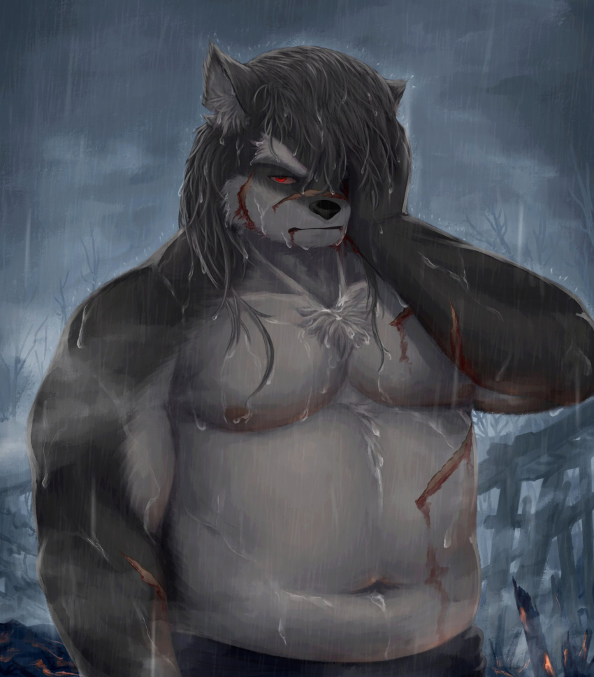 anthro belly canid canine canis domestic_dog fur grey_body grey_fur guadr hair hair_over_eye hi_res lifewonders long_hair male mammal musclegut navel nipples one_eye_obstructed pecs raining scar shino_(housamo) shirtless solo tokyo_afterschool_summoners video_games wet