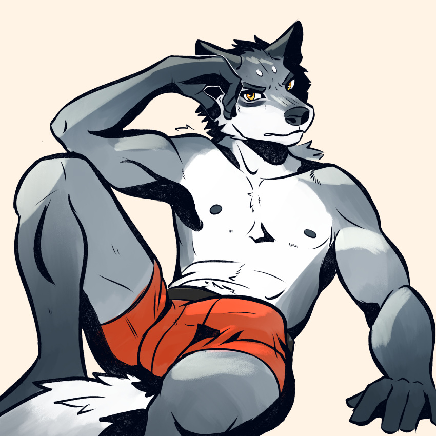 1:1 5_fingers absurd_res anthro balls_in_underwear black_nose bottomwear boxer_briefs boxers_(clothing) bulge canid canine canis clothed clothing detailed_bulge erection erection_under_clothing fingers fur genital_outline genitals grey_body grey_fur hair hi_res looking_at_viewer male mammal more_picante muscular narrowed_eyes nipples orange_eyes partially_clothed penis penis_outline red_clothing seductive solo spread_legs spreading tired_eyes topless underwear underwear_only white_body white_fur wolf