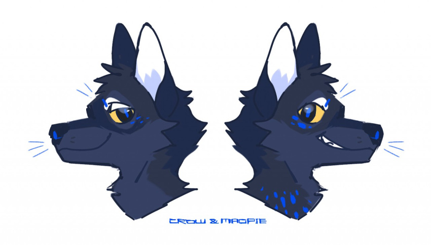 anthro asnnonaka black_eyes black_nose blue_body blue_ears blue_fur blue_pupils blue_spots canid cheek_tuft closed_smile dark_body dark_fur duo facial_tuft fur glistening glistening_eyes grin head_tuft male mammal narrowed_eyes pupils side_view simple_background smile spots spotted_body spotted_fur tuft unsigned white_background