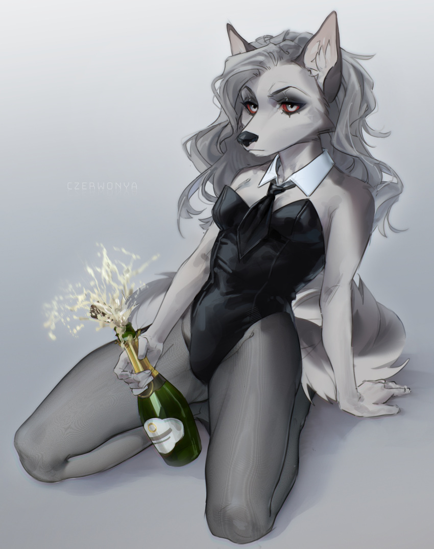 2022 absurd_res alcohol anthro beverage breasts bunny_costume canid canid_demon champagne clothed clothing costume countershading czerwonya demon digital_media_(artwork) female female_anthro fur grey_body grey_fur hair hellhound helluva_boss hi_res kemono legwear leotard loona_(helluva_boss) mammal multicolored_body multicolored_fur necktie shirt_collar silver_hair small_breasts solo stockings two_tone_body two_tone_fur white_body white_fur