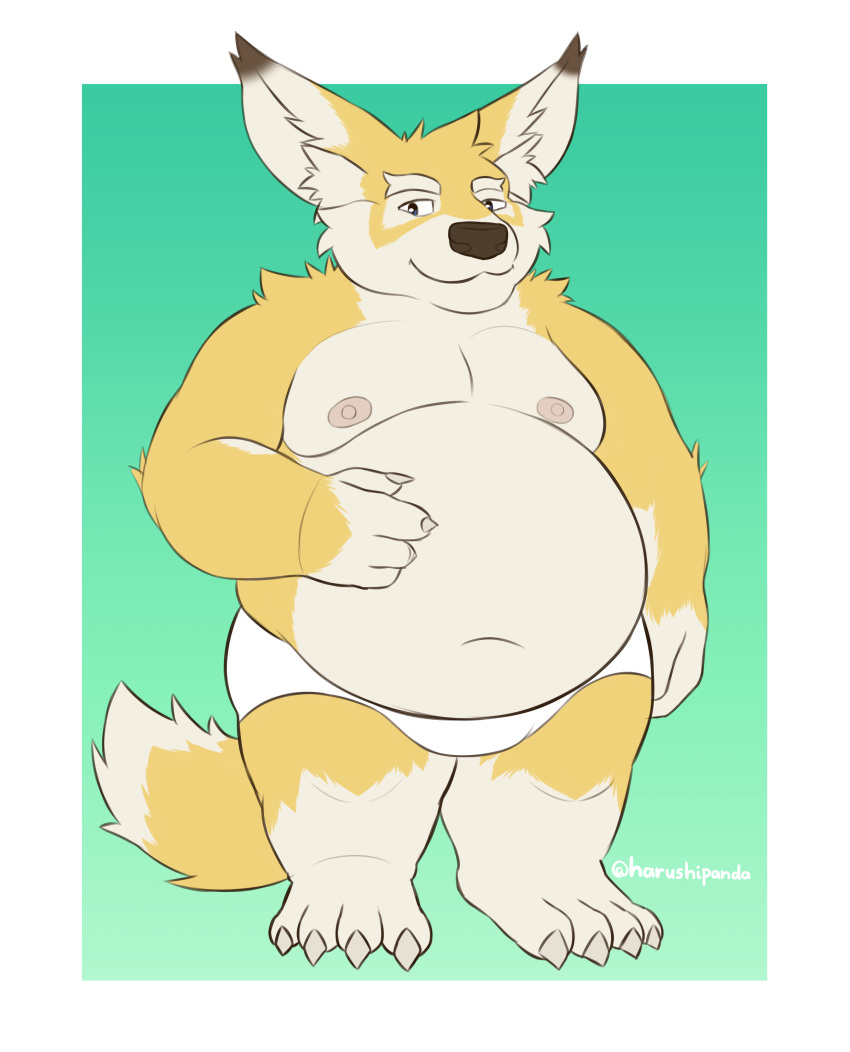 absurd_res anthro blue_eyes canid canine clothing fennec fox fur harushipanda hi_res male mammal moobs multicolored_body multicolored_fur overweight overweight_male shirtless solo teapot_(body_type) underwear white_body white_fur yellow_body yellow_fur