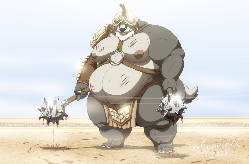 2022 4_toes absurd_res anthro armor badger belly blood blood_on_weapon bodily_fluids claws clothed clothing feet finger_claws fingers fur gladiator grey_body grey_fur grey_tail headgear helmet hi_res holding_mace mace male mammal melee_weapon mustelid musteline nipples overweight overweight_anthro overweight_male shadow shoulder_guard signature standing teeth toe_claws toes warrior weapon xxsparcoxx