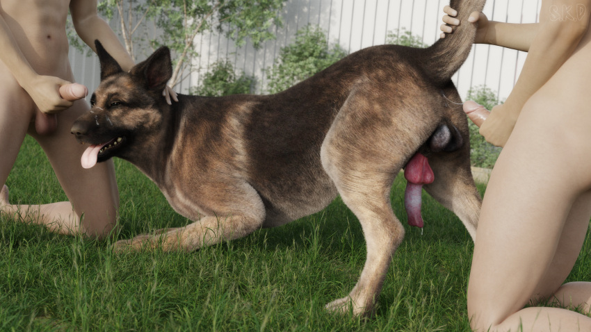 3d_(artwork) 4k absurd_res anatomically_correct anatomically_correct_genitalia anatomically_correct_penis animal_genitalia animal_penis anus ass_up bestiality bethesda_softworks blender_(software) bodily_fluids brown_body brown_eyes brown_fur canid canine canine_penis canis crouching cum cum_drip cum_from_penis cum_inside cum_on_face cum_string digital_media_(artwork) dogmeat domestic_dog dripping fallout fence feral fur genital_fluids genitals german_shepherd grass group hand_on_head herding_dog hi_res holding_penis human human_on_feral interspecies kneeling looking_at_viewer male male/male male_on_feral mammal multicolored_body multicolored_fur narrowed_eyes offscreen_male outside pastoral_dog penis plant raised_tail seductive shrub snow_kitsune tail_grab tongue tongue_out trio video_games