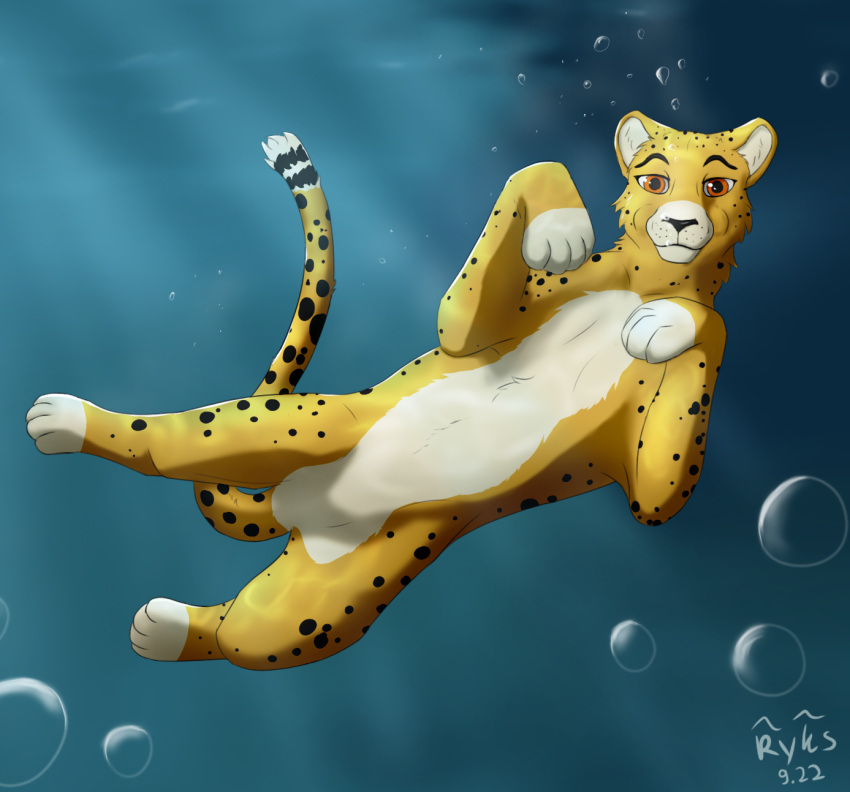 ambiguous_gender bubble cheetah diving felid feline feral hi_res looking_at_viewer mammal ryks smile solo solo_focus swimming underwater water