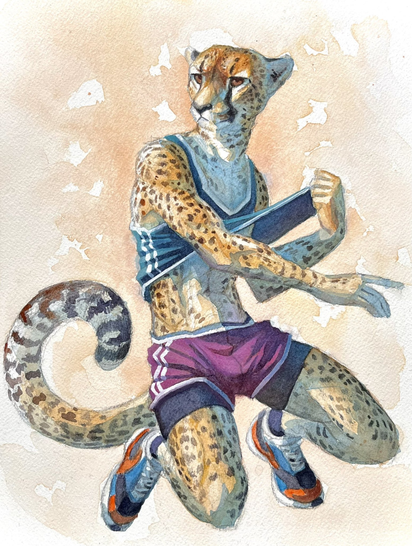 2022 anthro athletic bottomwear cheetah clothing clothing_pull felid feline footwear gym_bottomwear gym_clothing gym_shorts hi_res kneeling luikatje male mammal painting_(artwork) plantigrade shirt shirt_pull shoes shorts sneakers solo tank_top topwear topwear_pull traditional_media_(artwork) watercolor_(artwork)