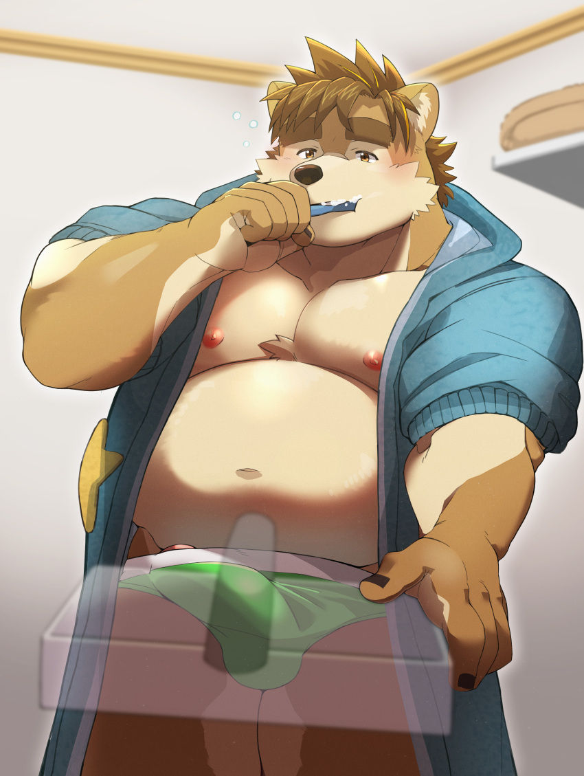 2020 absurd_res anthro balls_outline belly blush brown_body brown_fur brush brushing brushing_teeth bulge canid canine canis clothed clothing domestic_dog erection erection_under_clothing fur genital_outline genitals hi_res humanoid_hands kemono launcher_r male mammal moobs navel nipples overweight overweight_anthro overweight_male penis penis_outline robe solo underwear