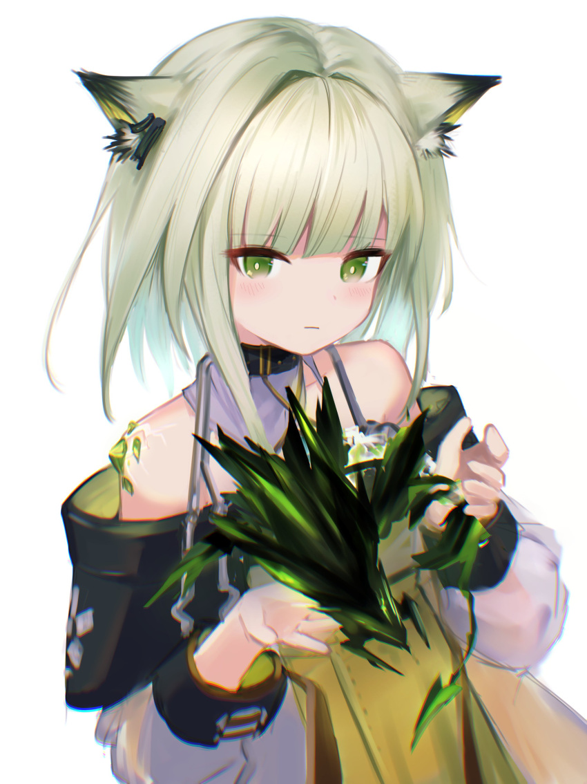 1girl absurdres animal_ear_fluff animal_ears arknights bangs bare_shoulders blunt_bangs blush cat_ears closed_mouth creature dress green_dress green_eyes green_hair highres holding kal'tsit_(arknights) long_sleeves looking_at_viewer mon3tr_(arknights) off_shoulder oripathy_lesion_(arknights) short_hair simple_background solo stethoscope upper_body white_background yunnasu