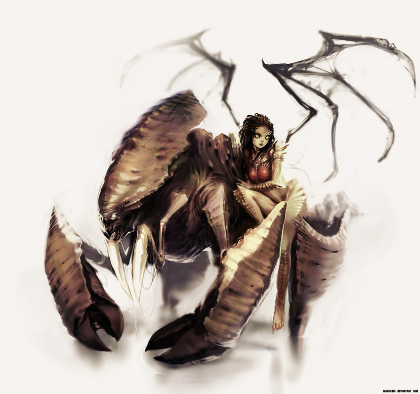 alien breasts brown_hair green_skin jace_wallace medium_breasts monster_girl sarah_kerrigan starcraft wings zerg_(starcraft) zerg_lurker