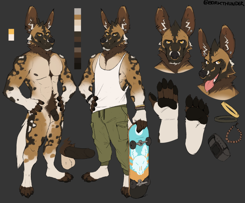 absurd_res african_wild_dog anthro borkthunder bottomwear canid canine clock clothing green_bottomwear green_clothing green_pants hi_res humanoid jewelry male mammal model_sheet pants shirt skateboard solo tongue tongue_out topwear watch white_clothing white_shirt white_topwear