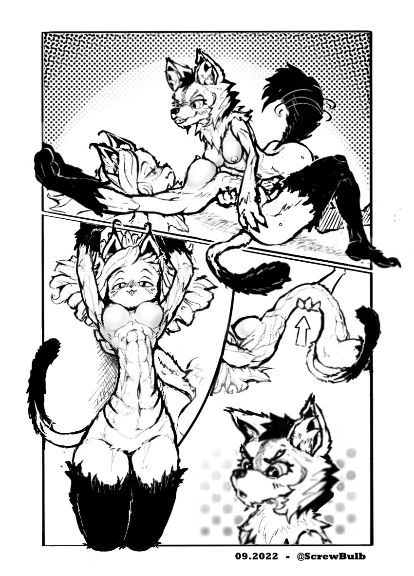 abs anthro belly black_and_white breasts butt butt_grab canid canine canis comic confusion domestic_cat duo felid feline felis female female/female hand_on_butt hi_res inner_ear_fluff mammal monochrome navel screwbulb stretching stretchy tail_motion tail_tuft tailwag tuft wolf