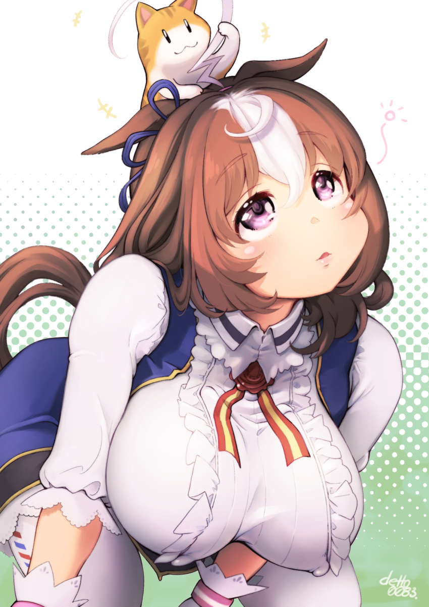 1girl ahoge animal_ears animal_on_head artist_request breasts brown_hair cat cat_on_head dazed gloves green_background highres horse_ears horse_girl horse_tail large_breasts looking_up meisho_doto_(umamusume) meto_(cat) multicolored_hair on_head pink_eyes signature tagme tail two-tone_hair umamusume