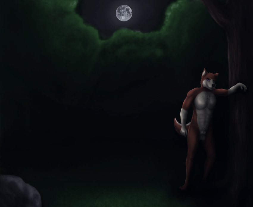 anthro blackheartwolf canid canine canis forest hi_res male mammal moon night plant purple_eyes red_wolf solo standing transformation transformation_sequence tree wolf