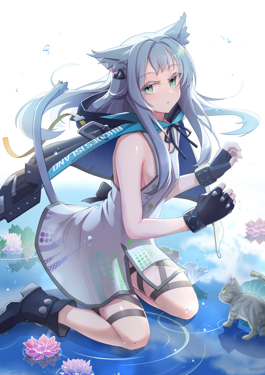 1girl absurdres animal animal_ears arknights bare_shoulders black_footwear black_gloves black_ribbon boots breasts cape cat_ears cat_girl cat_tail dress fingerless_gloves flower full_body gloves green_eyes grey_cat grey_hair highres hood hood_down hooded_cape kneeling long_hair looking_at_viewer lotus neck ribbon rosmontis_(arknights) sideboob sleeveless sleeveless_dress small_breasts solo tail water white_dress yuu_(yuu_yu)