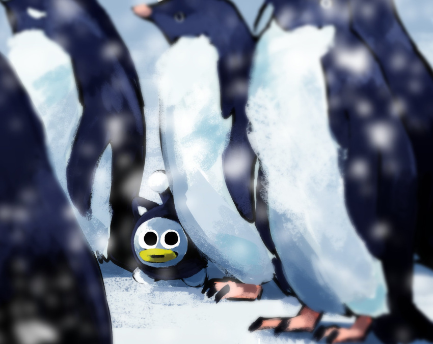 animal antennae beak bird blurry blurry_background day english_commentary highres itemlabel looking_at_viewer nature no_humans oui_oui outdoors penguin snow snowing standing t_tables walking