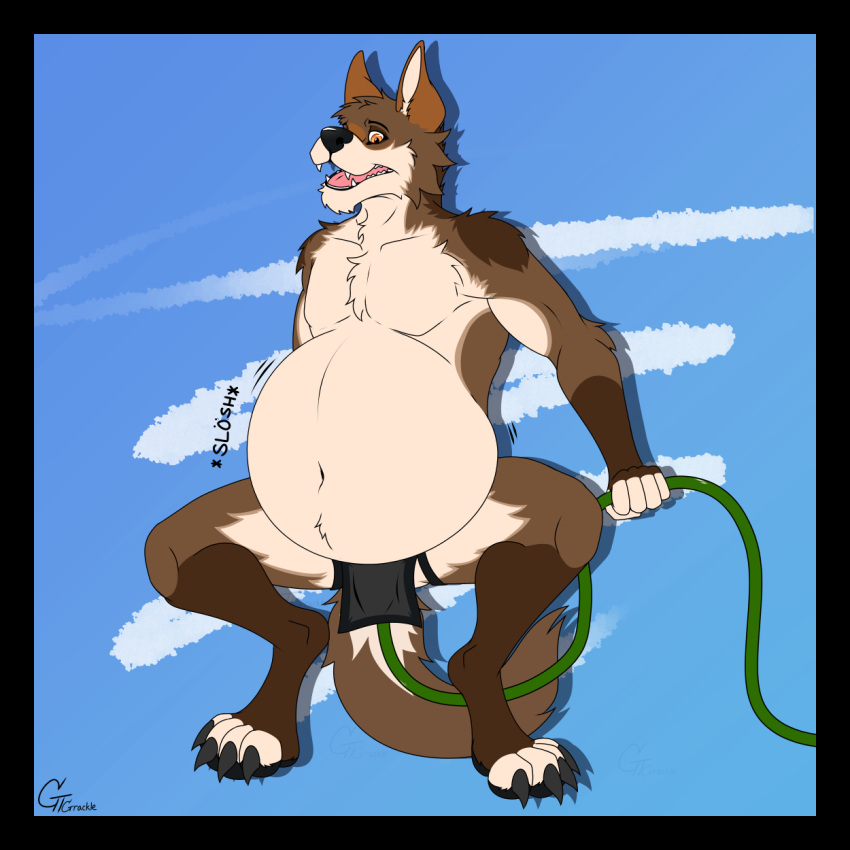 2022 4_fingers 5_fingers anthro belly belly_expansion belly_inflation black_nose bloated blue_background brown_body brown_fur canid canine canis claws clothing coyote cream_belly crouching expansion fangs fig_(gt_grackle) fingers fur gt_grackle hi_res holding_hose hose_in_butt hose_inflation inflation liquid_inflation looking_at_belly looking_down looking_down_at_self male mammal motion_lines navel onomatopoeia open_mouth orange_eyes pink_tongue signature simple_background sloshing_belly solo sound_effects teeth text tongue underwear