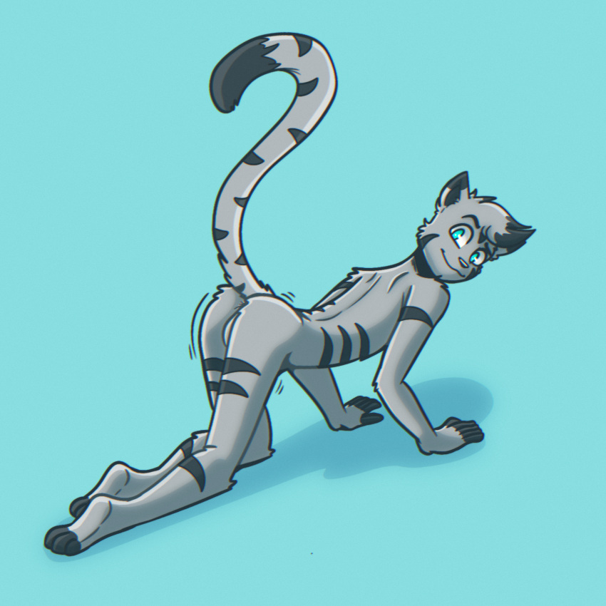 all_fours animal_humanoid anthro anus balls blue_eyes butt cat_humanoid digital_media_(artwork) domestic_cat felid felid_humanoid feline feline_humanoid felis fur fur_markings genitals grey_body grey_fur hi_res humanoid jinx_(solarlewds) looking_at_viewer male mammal mammal_humanoid markings nude presenting presenting_anus presenting_hindquarters simple_background smile solarlewds solo swaying