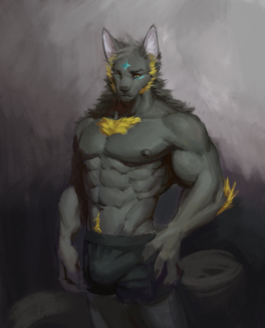 abs absurd_res anthro awaldkize black_bottomwear black_clothing black_nipples black_nose black_pants black_underwear bottomwear bulge canid clothed clothing front_view fur grey_body grey_ears grey_fur head_tuft hi_res inner_ear_fluff looking_aside male mammal mouth_closed muscular muscular_anthro muscular_male navel nipples pants pecs portrait simple_background solo standing three-quarter_portrait topless tuft underwear unsigned white_inner_ear white_inner_ear_fluff yellow_eyes