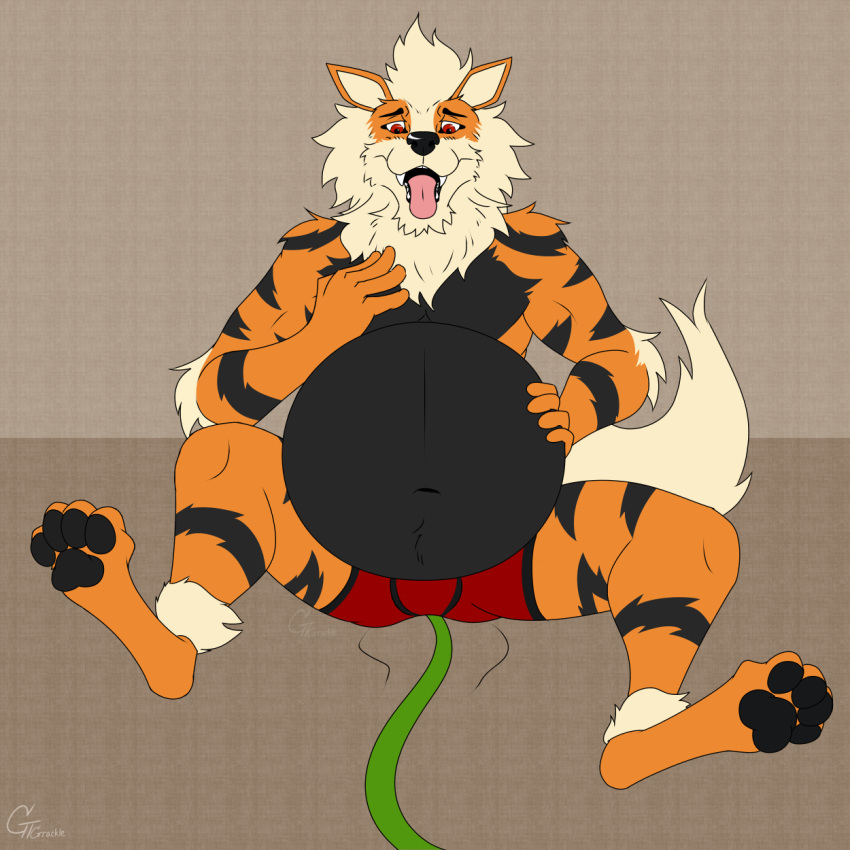 1:1 2022 4_toes 5_fingers anthro arcanine arm_tuft belly belly_expansion belly_inflation black_belly black_nose black_pawpads black_stripes clothing expansion eyebrows fangs feet fingers fur generation_1_pokemon gt_grackle hair hand_on_stomach hi_res hose_in_butt hose_inflation inflation looking_at_belly looking_down looking_down_at_self male mane motion_lines navel neck_tuft nintendo open_mouth orange_body orange_fur pawpads pink_tongue pokemon pokemon_(species) red_clothing red_eyes red_underwear sitting solo stripes teeth toes tongue tongue_out tuft underwear video_games white_hair