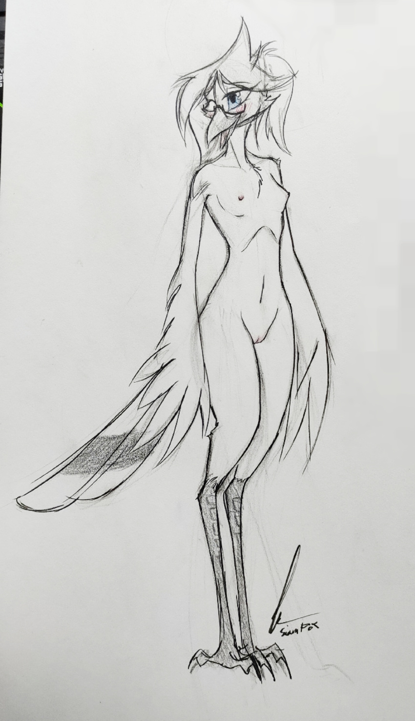 absurd_res accipitriform animal_humanoid anthro avian avian_feet avian_humanoid beak bird blue_eyes blush breasts eyewear feather_hands feathered_wings feathers female genitals glasses hair hi_res humanoid monochrome nipples nude pussy secretary_bird siam_fox simple_background small_breasts solo tail_feathers traditional_media_(artwork) wings