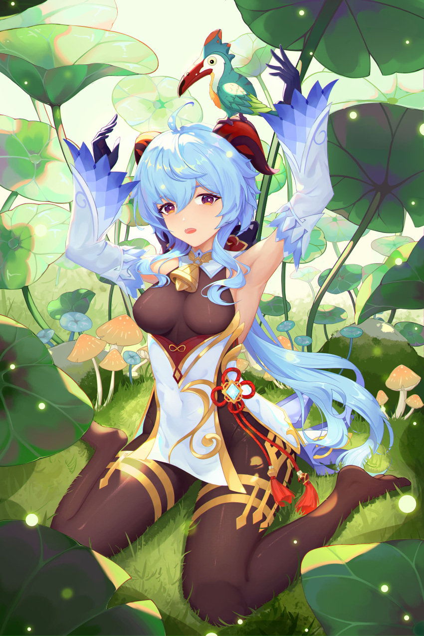 1girl absurdres ahoge animal_on_head armpits arms_up bangs bare_shoulders bell bird bird_on_head black_gloves black_leotard blue_hair breasts brown_pantyhose chinese_knot detached_sleeves flower_knot ganyu_(genshin_impact) genshin_impact gloves gold_trim grass highres horns leotard leotard_under_clothes long_hair looking_at_viewer medium_breasts mushroom neck_bell no_shoes on_head open_mouth outdoors pantyhose purple_eyes sidelocks sitting solo tassel thighlet user_vuan2785 vision_(genshin_impact) wariza white_sleeves