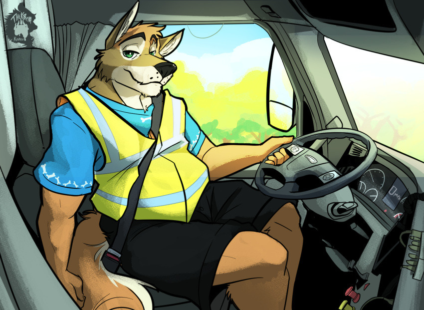 anthro canid canine canis clothed clothing coyote day fully_clothed high-vis looking_at_viewer mammal outside sitting solo thekinkybear