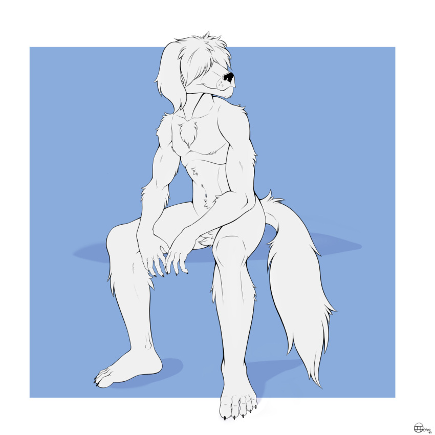 1:1 2022 anthro beastars canid canine canis chest_tuft claws collot_(beastars) covered_eyes crotch_tuft domestic_dog ears_down fur head_turned herding_dog hi_res jimfoxx male mammal nude pastoral_dog pivoted_ears sheepdog sitting solo spread_legs spreading toe_claws tuft white_body white_fur