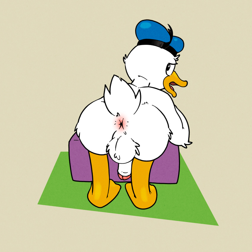 1:1 absurd_res anatid anseriform anthro anus argon_vile avian backsack balls beak bent_over bird butt clothing digital_media_(artwork) disney donald_duck duck feathers genitals hat hat_only headgear headgear_only headwear headwear_only hi_res looking_back male mostly_nude nude open_beak open_mouth penis presenting presenting_hindquarters simple_background solo white_body