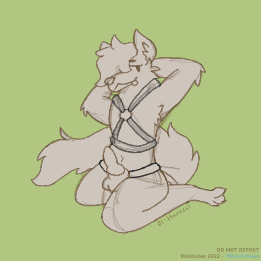 ambiguous_gender animal_genitalia anthro canid canine canis coyote genitals harness hi_res kinktober knot mammal pinup pose raccinheat sheath sketch solo