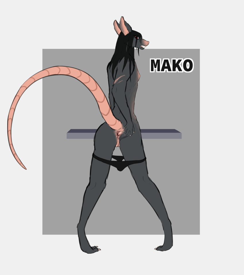 absurd_res anthro anus butt character_name clothed clothing dragonsponies female genitals hi_res mako_(dragonsponies) mammal murid murine panties panties_down partially_clothed presenting presenting_hindquarters pussy raised_tail rat rodent scar simple_background solo spread_butt spreading underwear underwear_down