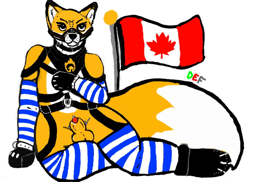 animal_genitalia anthro arm_warmers armwear bandanna bondage_gear bondage_gloves canada canid canine clothing crossgender drepicfrag ember_the_firesmart_fox flag_(object) fox genitals girly harness kerchief legwear male mammal penis sheath sitting solo sounding_rod thigh_highs urethral