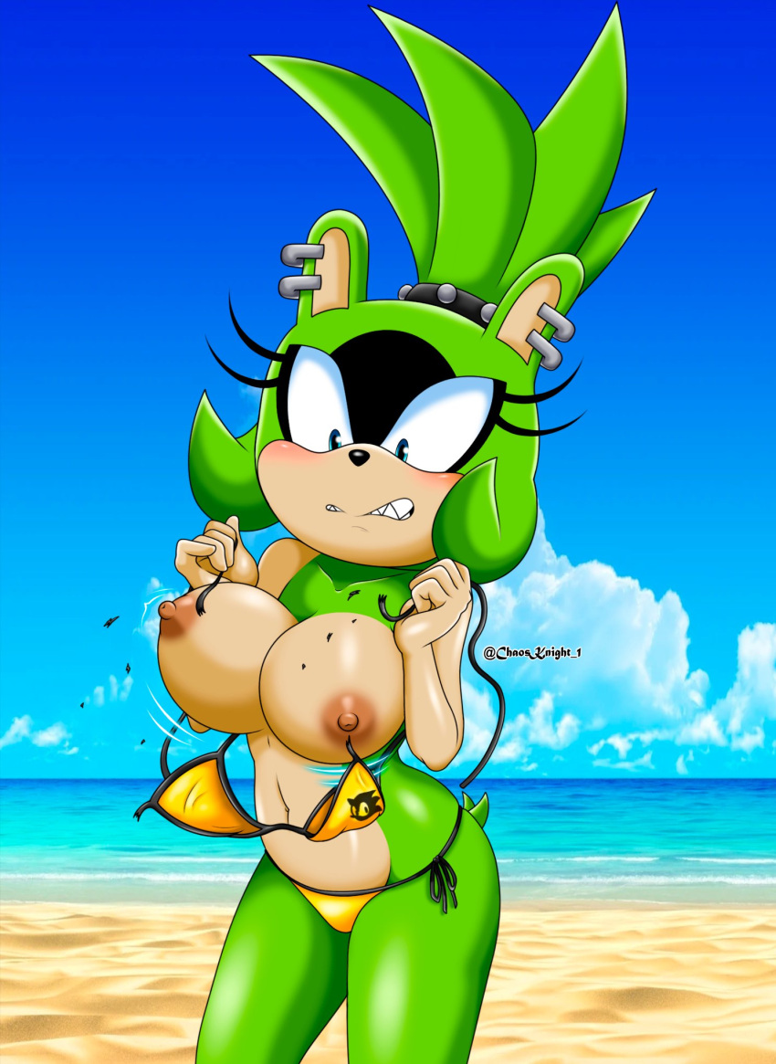 afrosoricid anthro beach big_breasts bikini breasts chaosknight_1 clothed clothing female hi_res idw_publishing mammal nipples piercing seaside sega skimpy solo sonic_the_hedgehog_(comics) sonic_the_hedgehog_(idw) sonic_the_hedgehog_(series) surge_the_tenrec swimwear tenrec wardrobe_malfunction