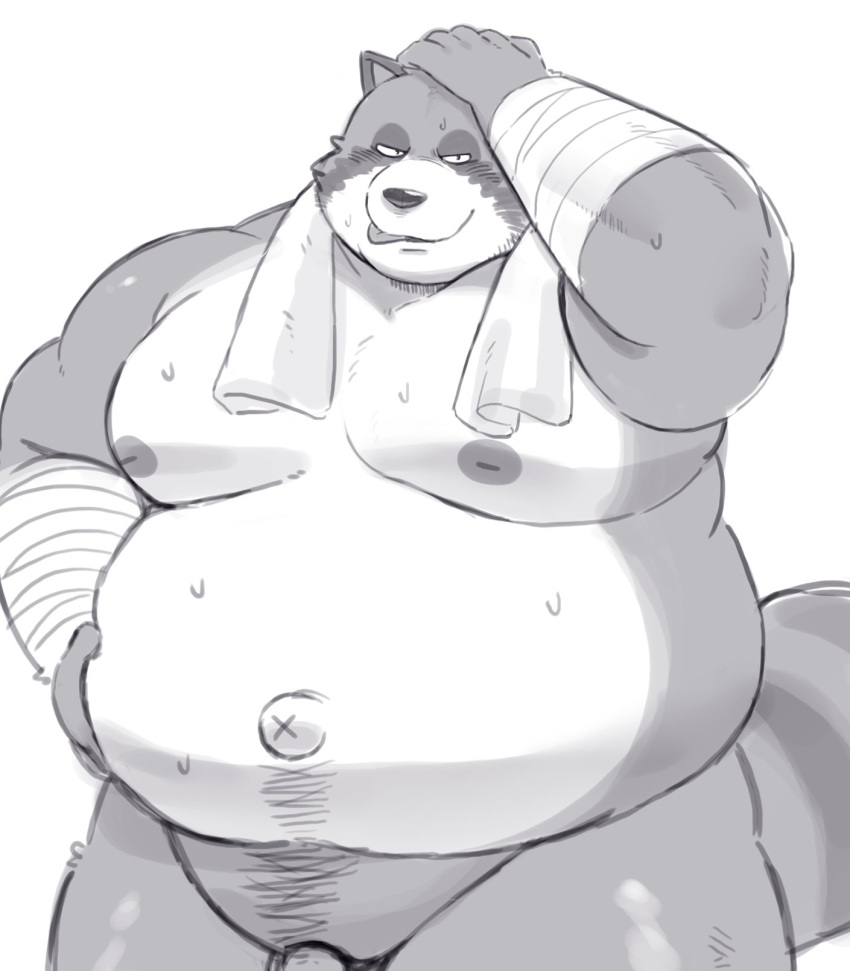 2022 anthro bandage belly big_belly bodily_fluids canid canine genitals hi_res humanoid_hands kemono male mammal moobs navel nipples overweight overweight_male penis raccoon_dog simple_background solo sv_grart sweat tanuki towel towel_around_neck