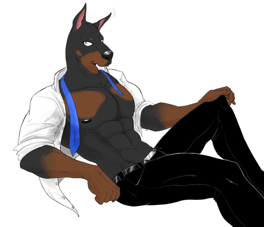abs adam's_apple anthro biceps black_body black_bottomwear black_clothing black_fur black_pants bottomwear brown_body brown_fur canid canine canis clothed clothing dobermann domestic_dog fur hi_res male mammal multicolored_body muscular muscular_anthro muscular_male musicsliders navel necktie nipples open_clothing open_shirt open_topwear pants pecs pinscher shirt simple_background solo solo_focus topwear two_tone_body white_background