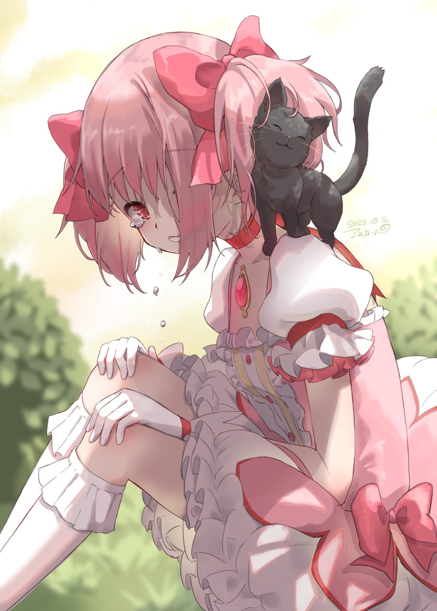 1girl :3 animal_on_shoulder asukaru_(magika_ru) bangs black_cat blurry blurry_background cat cat_on_shoulder closed_eyes crying from_side gloves highres kaname_madoka knees_up looking_at_viewer magical_girl mahou_shoujo_madoka_magica outdoors pink_eyes pink_hair sitting tears twintails white_gloves