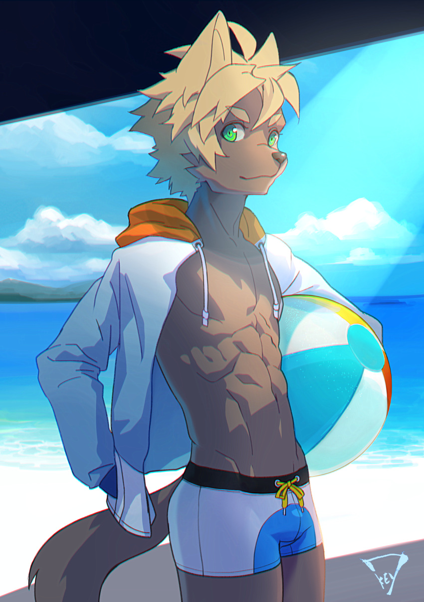 2020 abs absurd_res anthro ball beach beach_ball blonde_eyebrows blonde_hair blue_sky canid canine clothed clothing cloud day detailed_background drawstring eyebrows green_eyes hair hand_in_pocket hi_res holding_beach_ball inflatable jacket kiske_7key looking_aside looking_at_viewer male mammal muscular muscular_male open_clothing open_jacket open_topwear outside pecs pockets portrait sea seaside short_hair sky smile solo standing swimming_trunks swimwear three-quarter_portrait three-quarter_view tight_swimwear topwear under_shade v-cut water