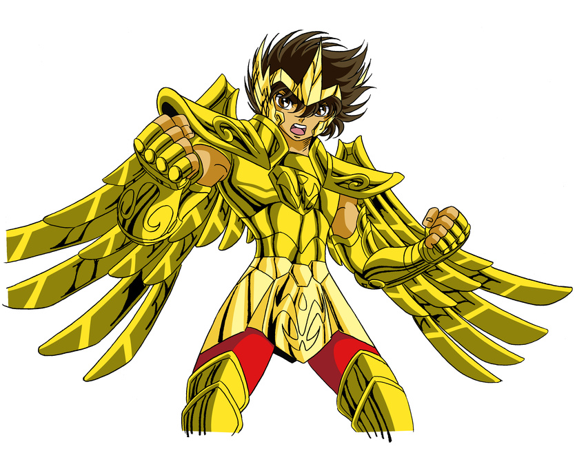 male pegasus_seiya saint_seiya tagme