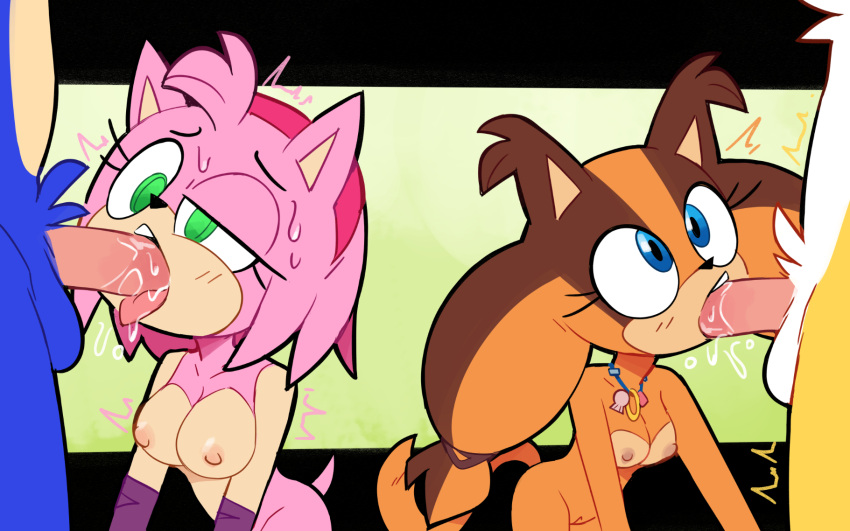 amy_rose bodily_fluids breasts erection fellatio genitals hi_res looking_up miles_prower miscon nipples nude oral penile pussy sega sex sonic_boom sonic_the_hedgehog sonic_the_hedgehog_(series) standing sticks_the_jungle_badger sweat tomboy