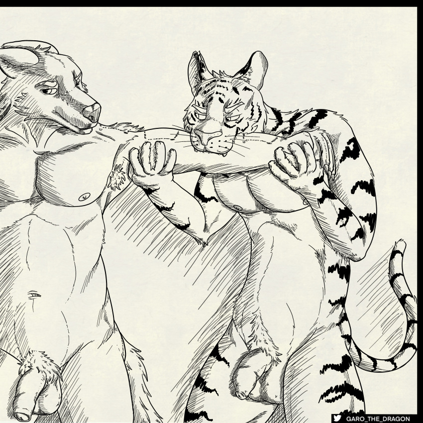 2022 absurd_res animal_humanoid anthro armpit_hair balls bite body_hair canid canine canis claws duo ears_back fangs felid feline flaccid foreskin fur fur_markings garo_(artist) genitals grabbing_arm hi_res humanoid kinktober looking_at_another looking_away male mammal mammal_humanoid markings monochrome navel nipples nude pantherine pecs penis pivoted_ears pubes standing tiger whiskers wolf