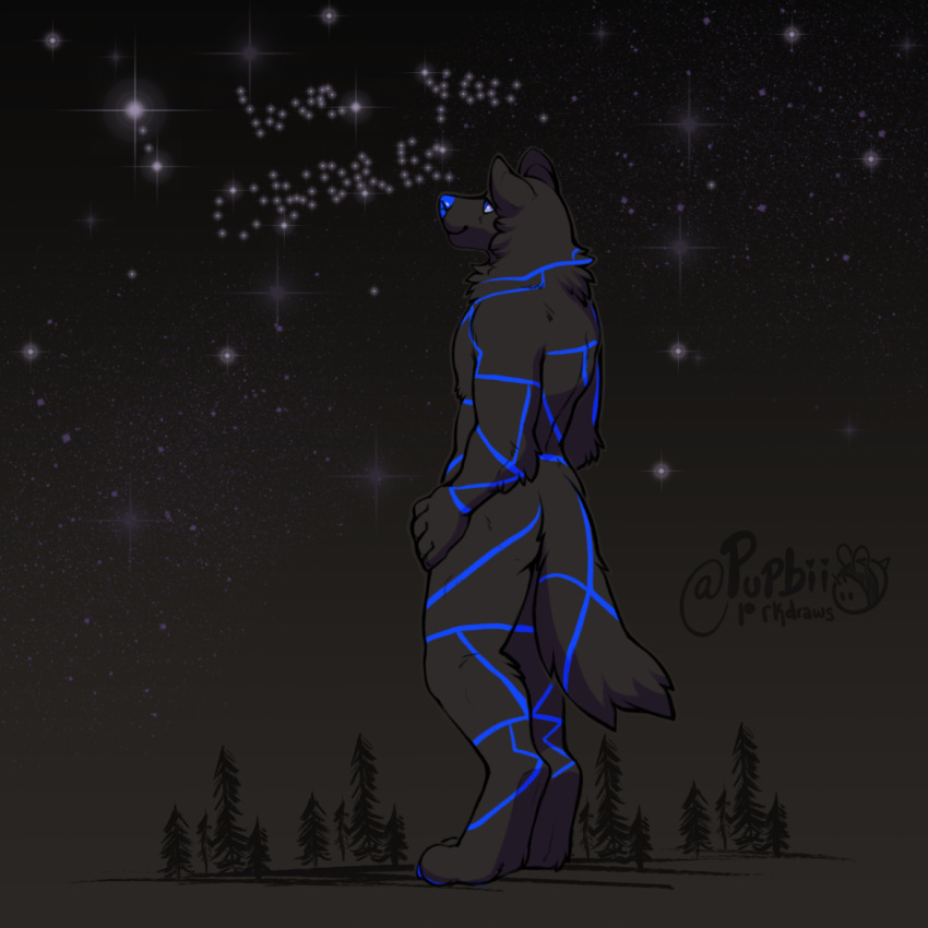 1:1 anthro arm_markings black_body black_fur blue_body blue_eyes blue_fur blue_markings blue_nose canid closed_smile full-length_portrait fur leg_markings male mammal markings mouth_closed night nude plant portrait pupbii signature solo standing star tail_markings three-quarter_view tree