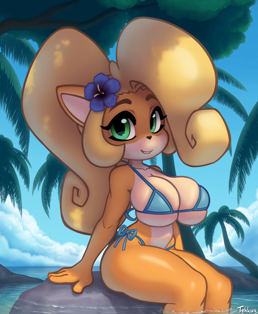 2022 activision anthro artist_name bandicoot beach big_breasts bikini blonde_hair blue_bikini blue_clothing blue_sky blue_swimwear breasts clothed clothing cloud coco_bandicoot crash_bandicoot_(series) female fingers green_eyes hair hi_res long_hair looking_at_viewer mammal marsupial palm_tree partially_submerged plant rock seaside side-tie_bikini sitting sky smile solo swimwear tekkua thick_thighs tree video_games water