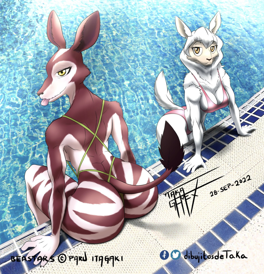 2022 5_fingers anthro beastars big_breasts big_butt bikini bikini_bottom bikini_top black_nose blep bovid breasts butt caprine cleavage clothed clothing cosmo_(beastars) domestic_sheep duo female fingers fur giraffid hi_res humanoid_hands looking_at_viewer looking_back looking_back_at_viewer mammal merino_sheep multicolored_body multicolored_fur okapi red_body red_fur sebun_(beastars) sheep signature sitting smile swimming_pool swimwear taka_studio tongue tongue_out two_tone_body two_tone_fur water white_body white_fur white_wool wool_(fur)