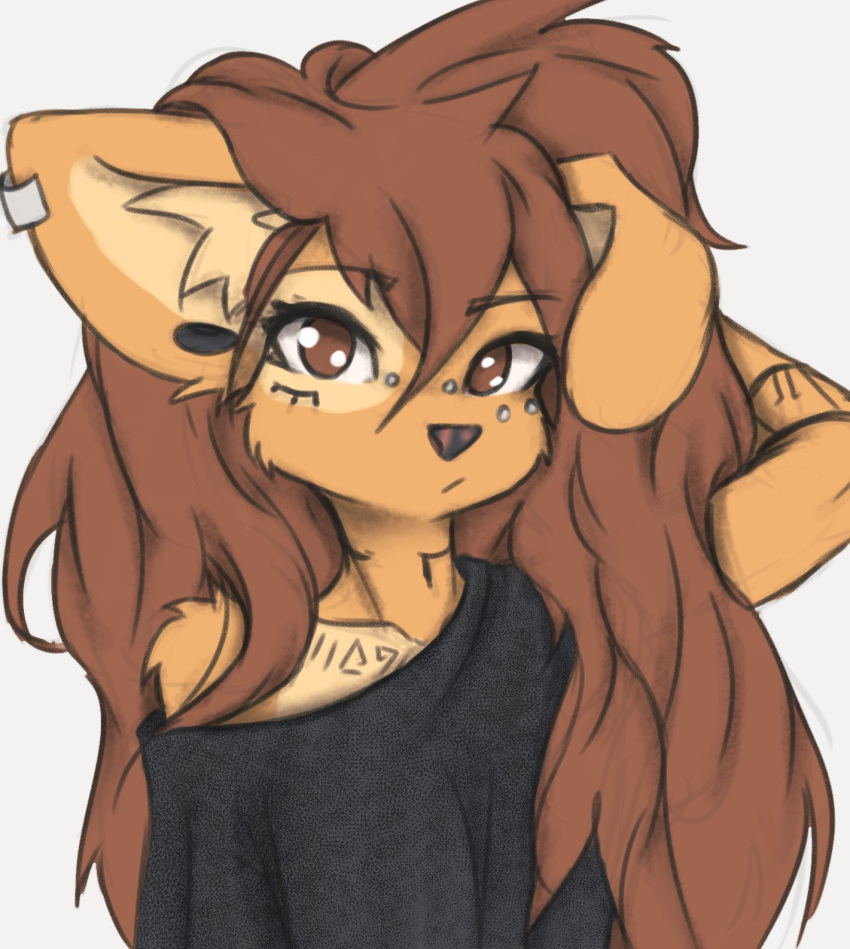 anthro apogee_(tinygaypirate) arm_tuft black_nose breasts brown_body brown_eyes brown_fur brown_hair bust_portrait canid canine canis cheek_tuft clothed clothing cowlick domestic_dog ear_piercing eyebrow_through_hair eyebrows eyelashes facial_markings facial_piercing facial_tuft female fur furgonomics furry-specific_piercing gauged_ear grey_background hair hand_behind_head head_markings hi_res inner_ear_fluff long_hair looking_at_viewer mammal markings mottled mottled_nose muzzle_piercing nose_piercing off_shoulder piercing pink_nose portrait raised_arm shirt simple_background small_breasts solo spitz tinygaypirate topwear translucent translucent_hair tuft